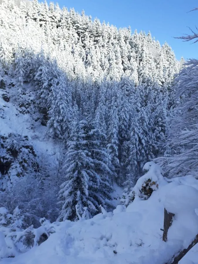 La Casetta Della Nonna Sant'Anna Pelago 0*,  Włochy
